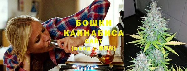 ALPHA-PVP Вяземский