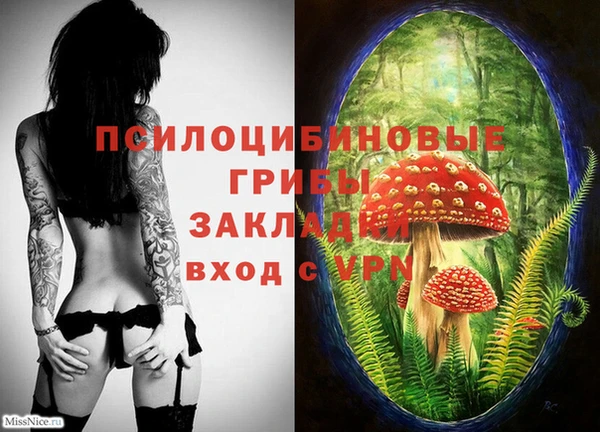 эйфоретик Вязьма